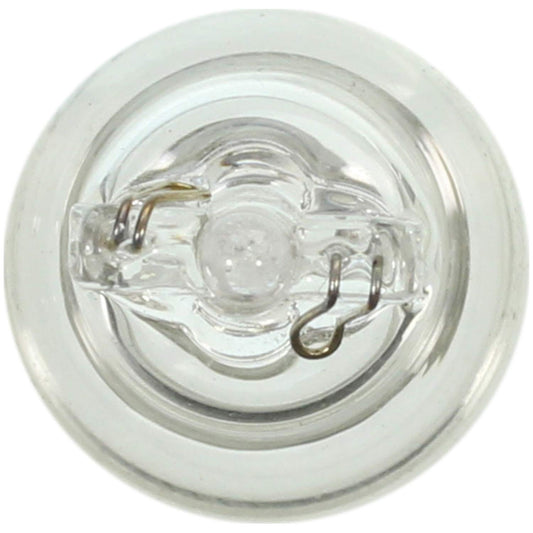 WAGNER 917 Wagner Lighting 917 Standard Multi-Purpose Light Bulb Box of 10
