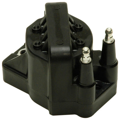 Delphi GN10123 IGNITION COIL