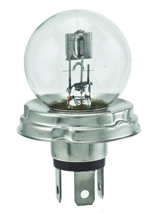 HELLA 002088255 HELLA 7952 Miniature Standard Bulb, 24V, 55/50W, Multi
