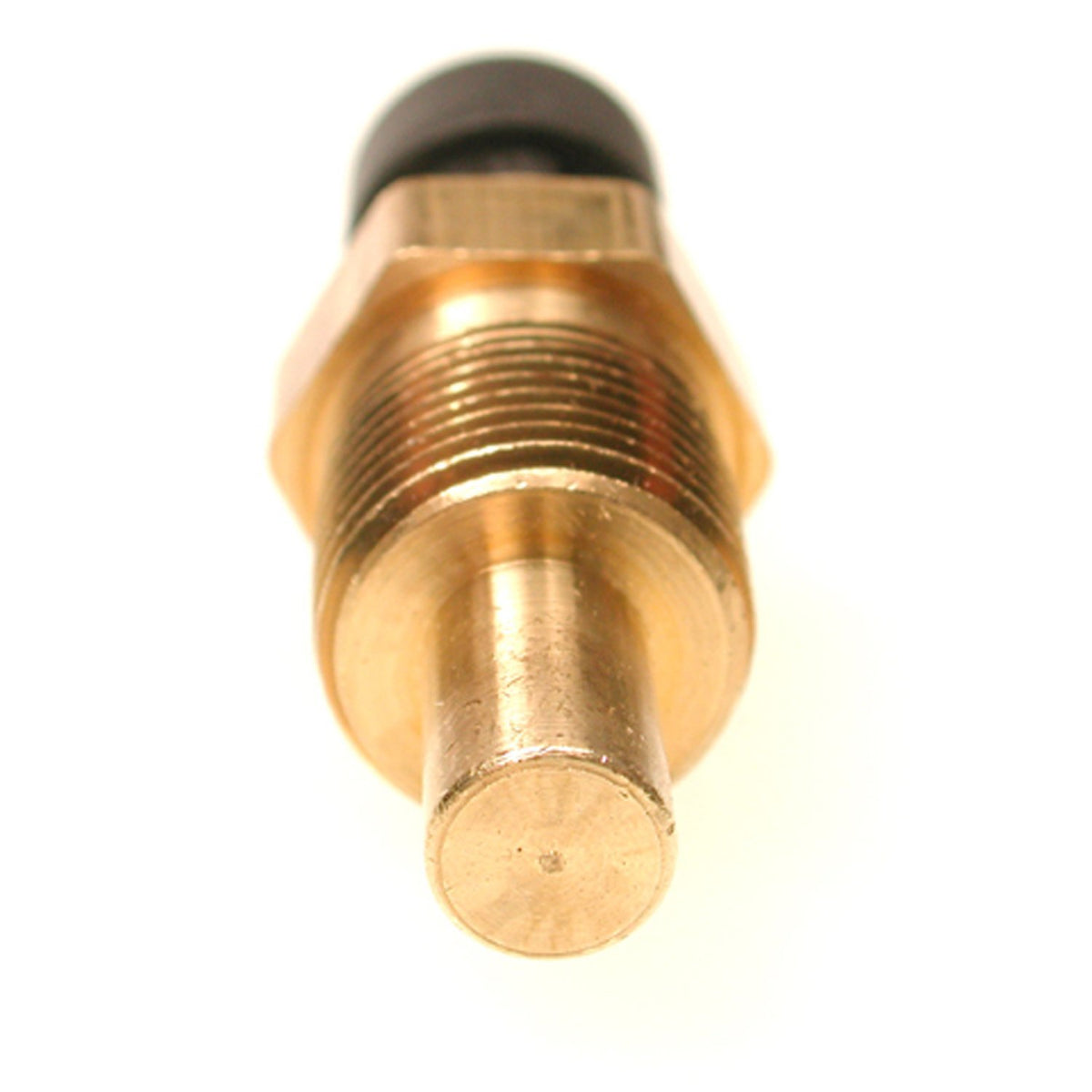 Delphi TS10032 ENGINE COOLANT TEMPERATURE SENSOR