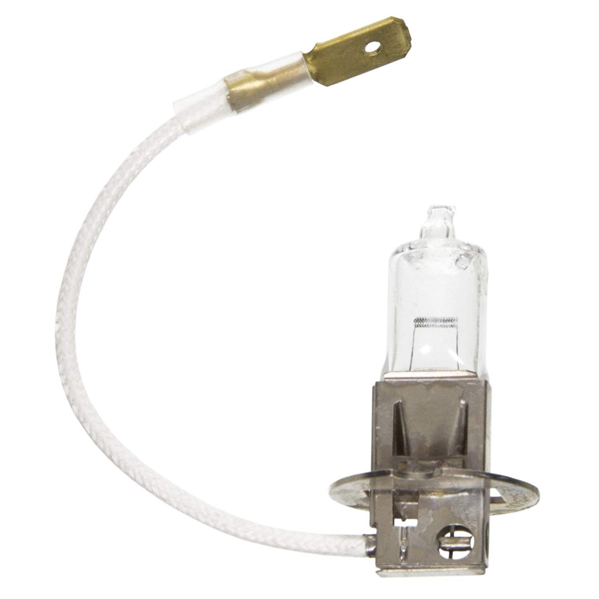 WAGNER BP1255/H3 Wagner Lighting BP1255/H3 Multi-Purpose Light Bulb Card of 1