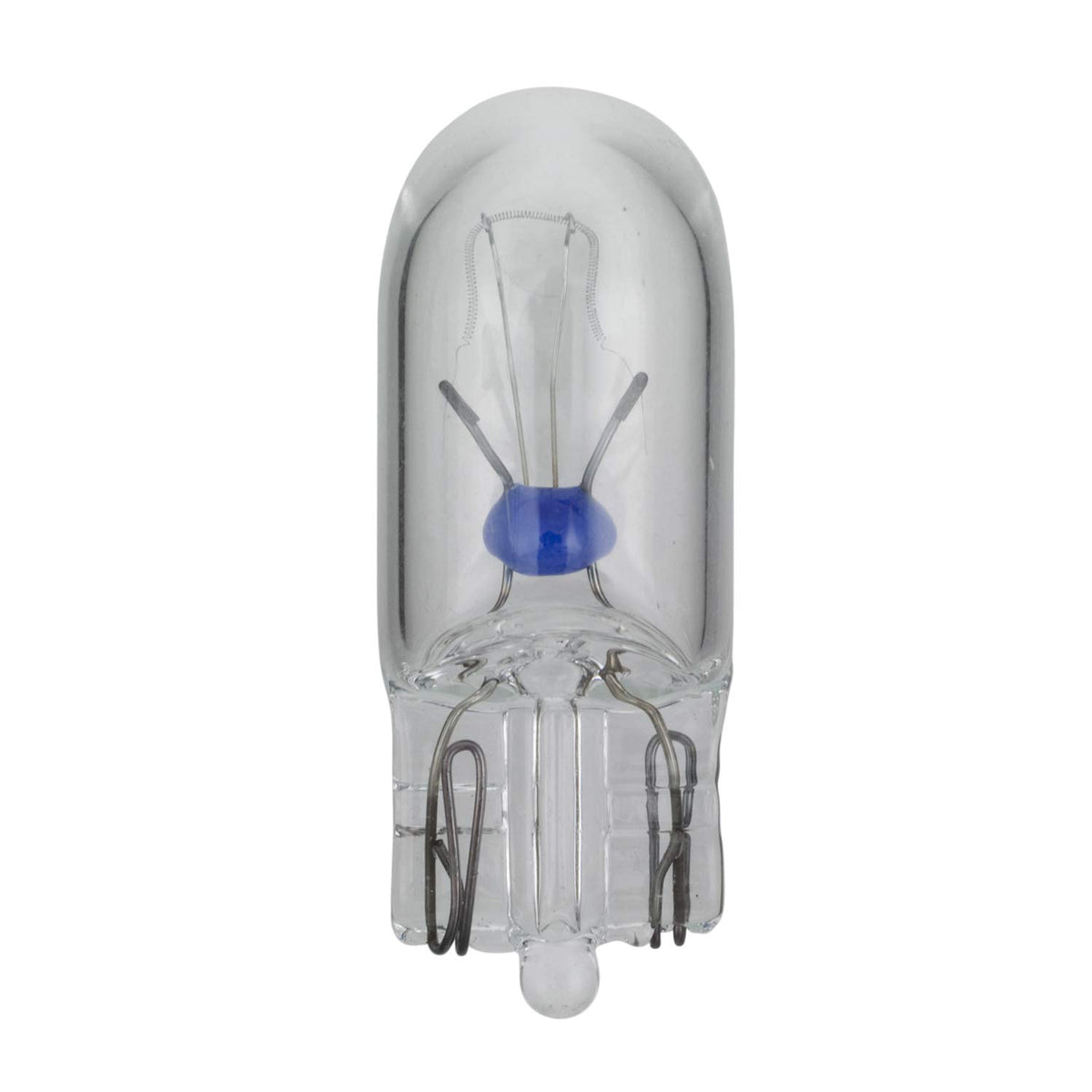 WAGNER 161 Wagner Lighting 161 Standard Multi-Purpose Light Bulb Box of 10