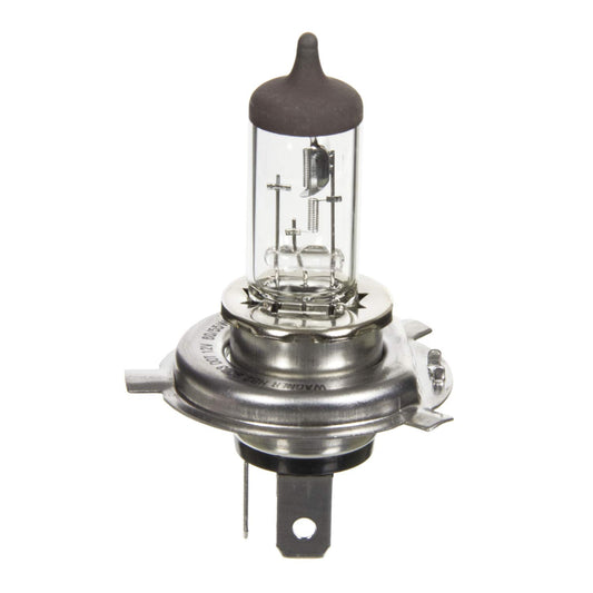 WAGNER BP9003 Wagner Lighting BP9003 Standard Multi-Purpose Light Bulb Card of 1