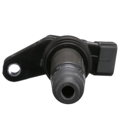 Delphi GN10558 IGNITION COIL