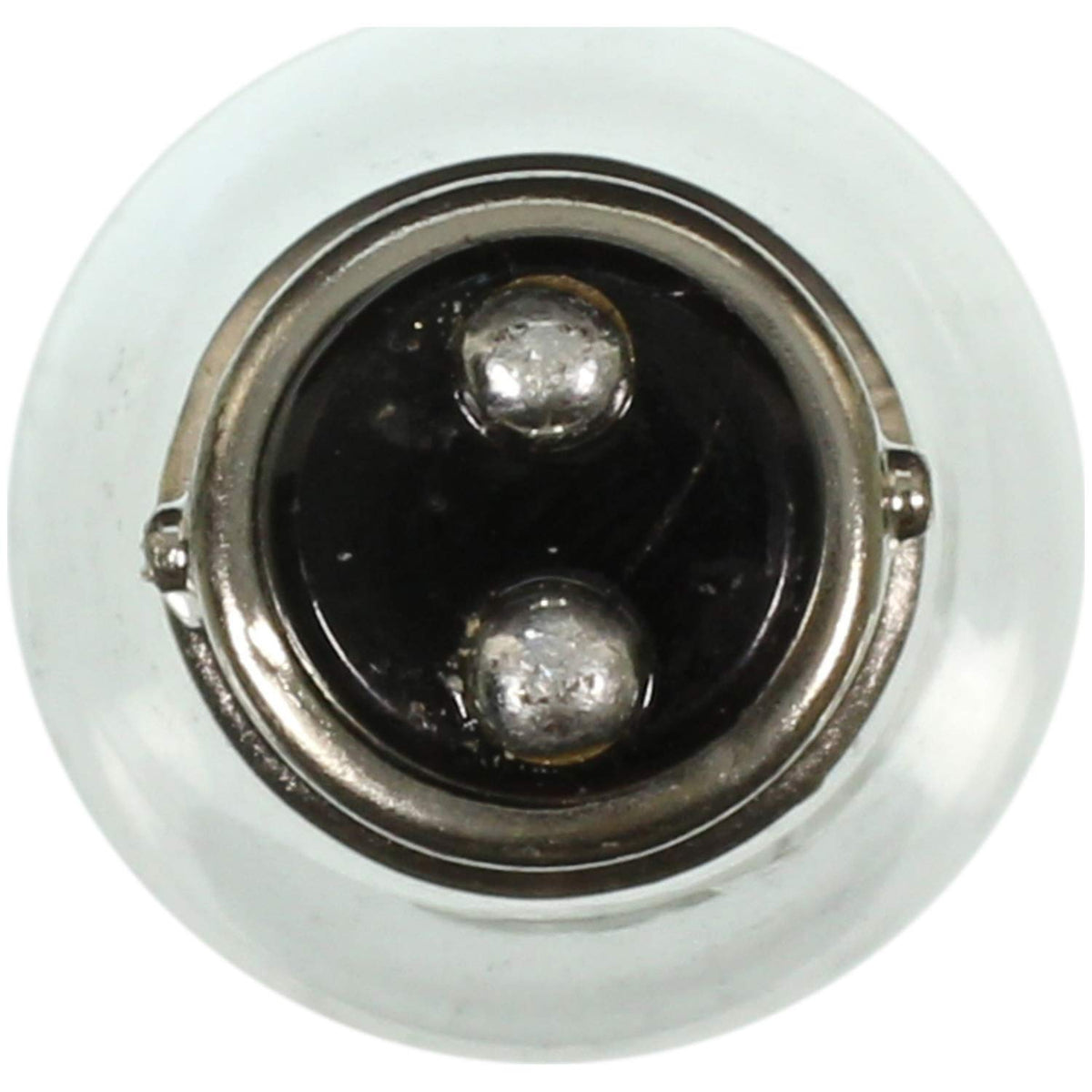 WAGNER 1034 Wagner Lighting 1034 Standard Multi-Purpose Light Bulb Box of 10