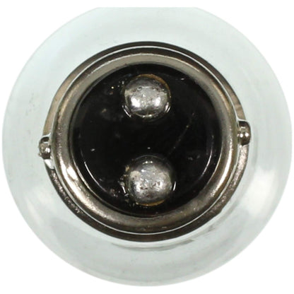 WAGNER 1034 Wagner Lighting 1034 Standard Multi-Purpose Light Bulb Box of 10