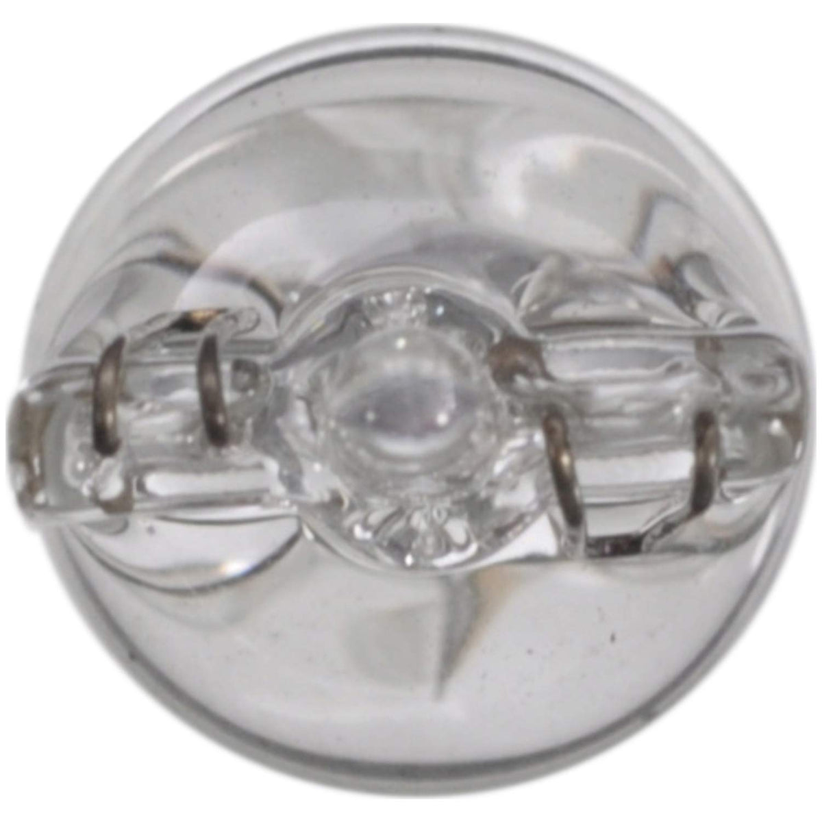 WAGNER BP17177 Wagner Lighting BP17177 Standard Multi-Purpose Light Bulb Card of 2