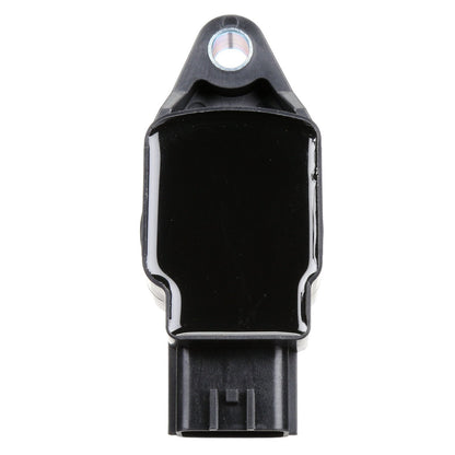 Delphi GN10244 IGNITION COIL