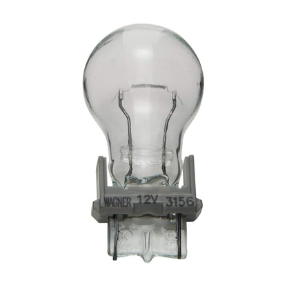 WAGNER 3156 Wagner Lighting 3156 Standard Multi-Purpose Light Bulb Box of 10