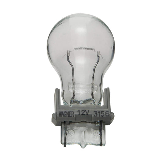WAGNER 3156 Wagner Lighting 3156 Standard Multi-Purpose Light Bulb Box of 10