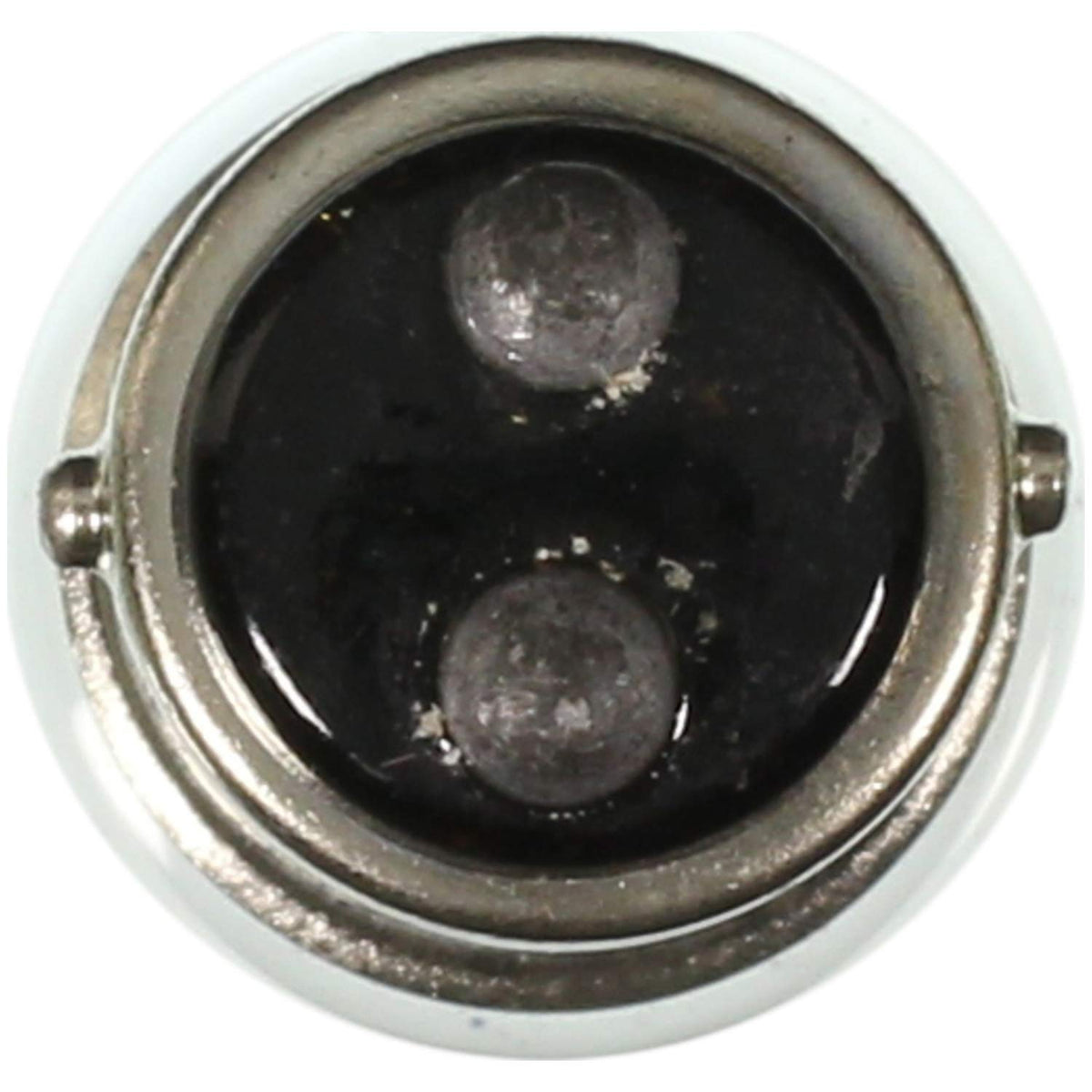 WAGNER 68 Wagner Lighting 68 Standard Multi-Purpose Light Bulb Box of 10