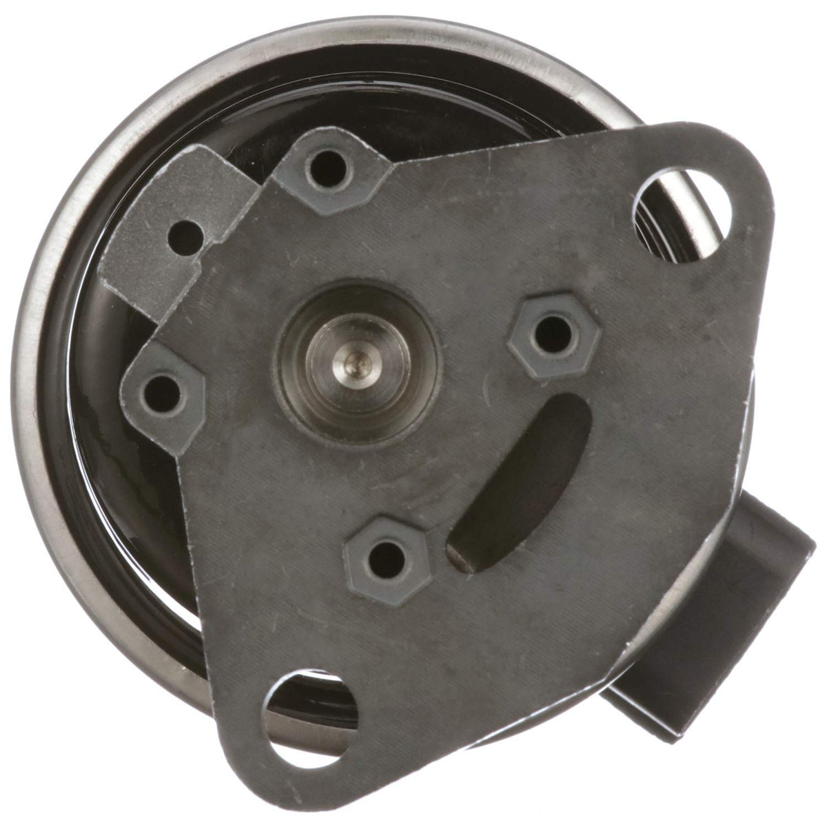 Delphi EG10499 EGR VALVE