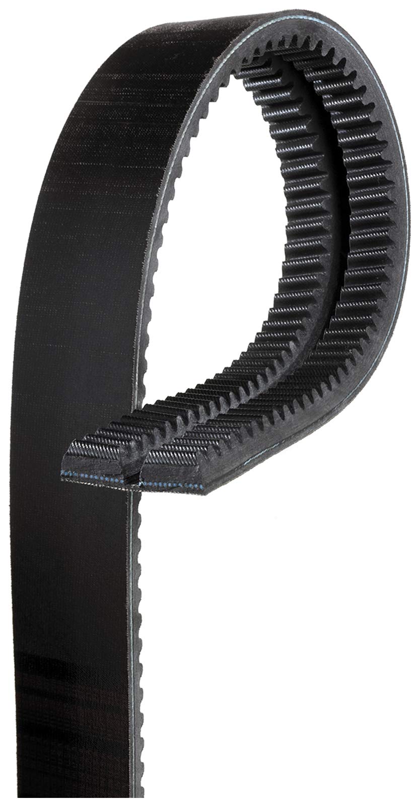 Gates 2/TR22570PB TRUCK & BUS JOINED V-BELT