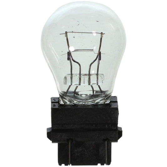 WAGNER BP3357 Wagner Lighting BP3357 Standard Multi-Purpose Light Bulb Card of 2