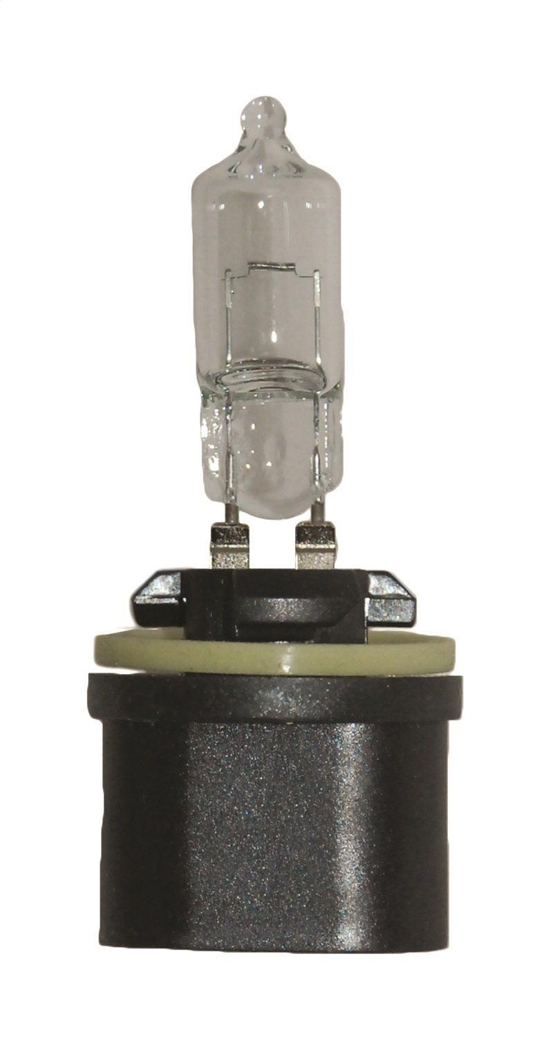 HELLA 890 HELLA 890 Standard Halogen Bulb, 12 V, 27W