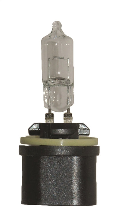 HELLA 890 HELLA 890 Standard Halogen Bulb, 12 V, 27W