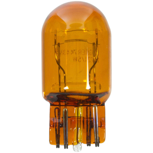 WAGNER BP7443NA Wagner Lighting BP7443NA Natural Amber Miniature Bulb - Card of 1