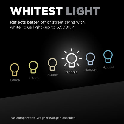 WAGNER BPH11TVX2 Wagner TruView PLUS BPH11TVX2 Multi-Purpose Light Bulb Card of 2