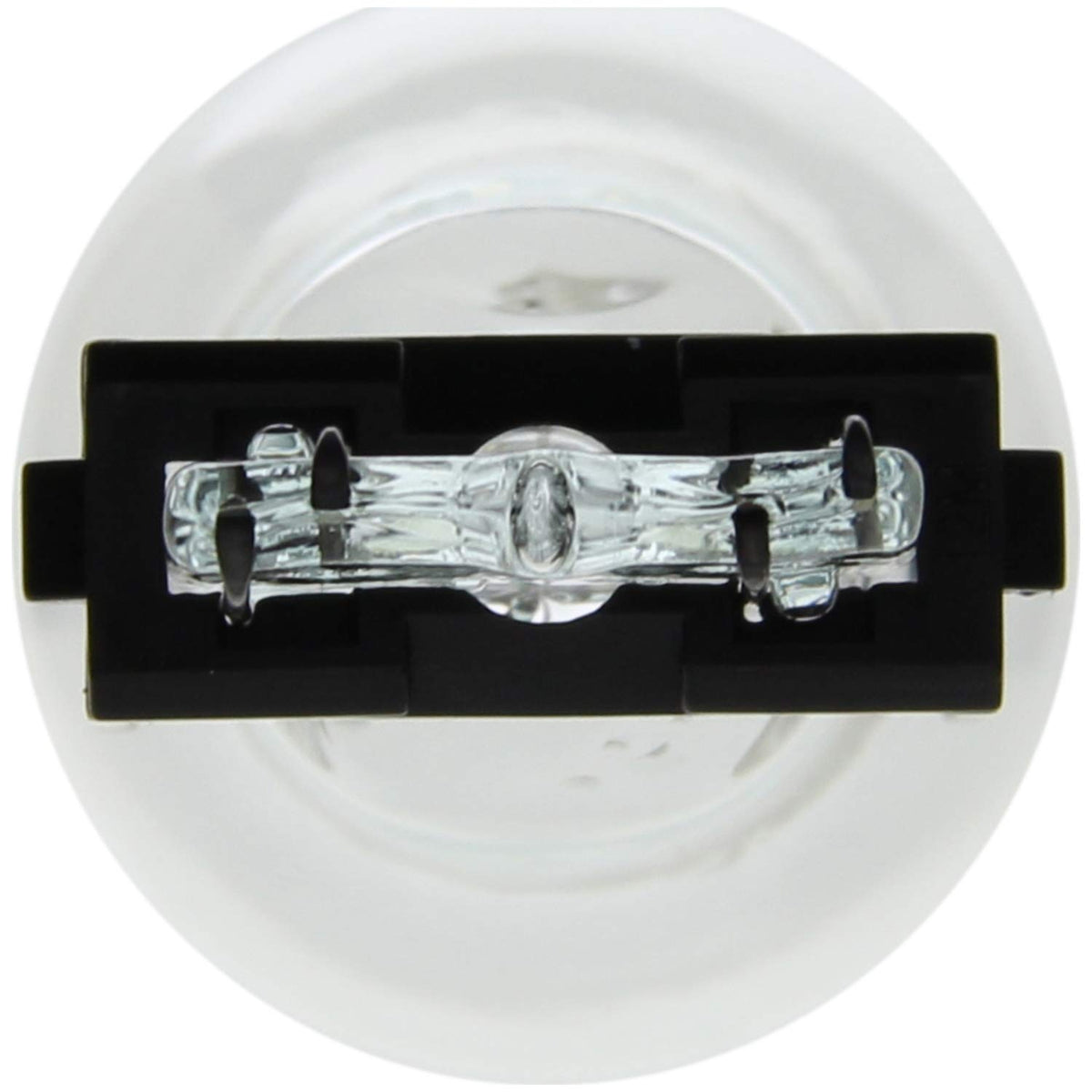 WAGNER BP3157 Wagner Lighting BP3157 Standard Multi-Purpose Light Bulb Card of 2