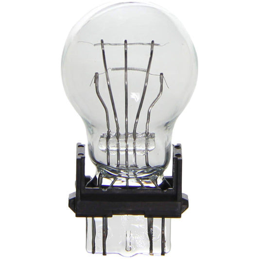 WAGNER BP3157 Wagner Lighting BP3157 Standard Multi-Purpose Light Bulb Card of 2