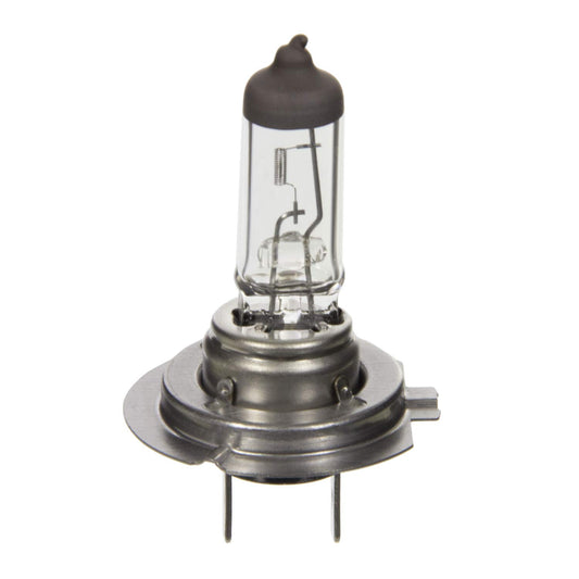 WAGNER BP1255/H7 Wagner Lighting BP1255/H7 Multi-Purpose Light Bulb Card of 1