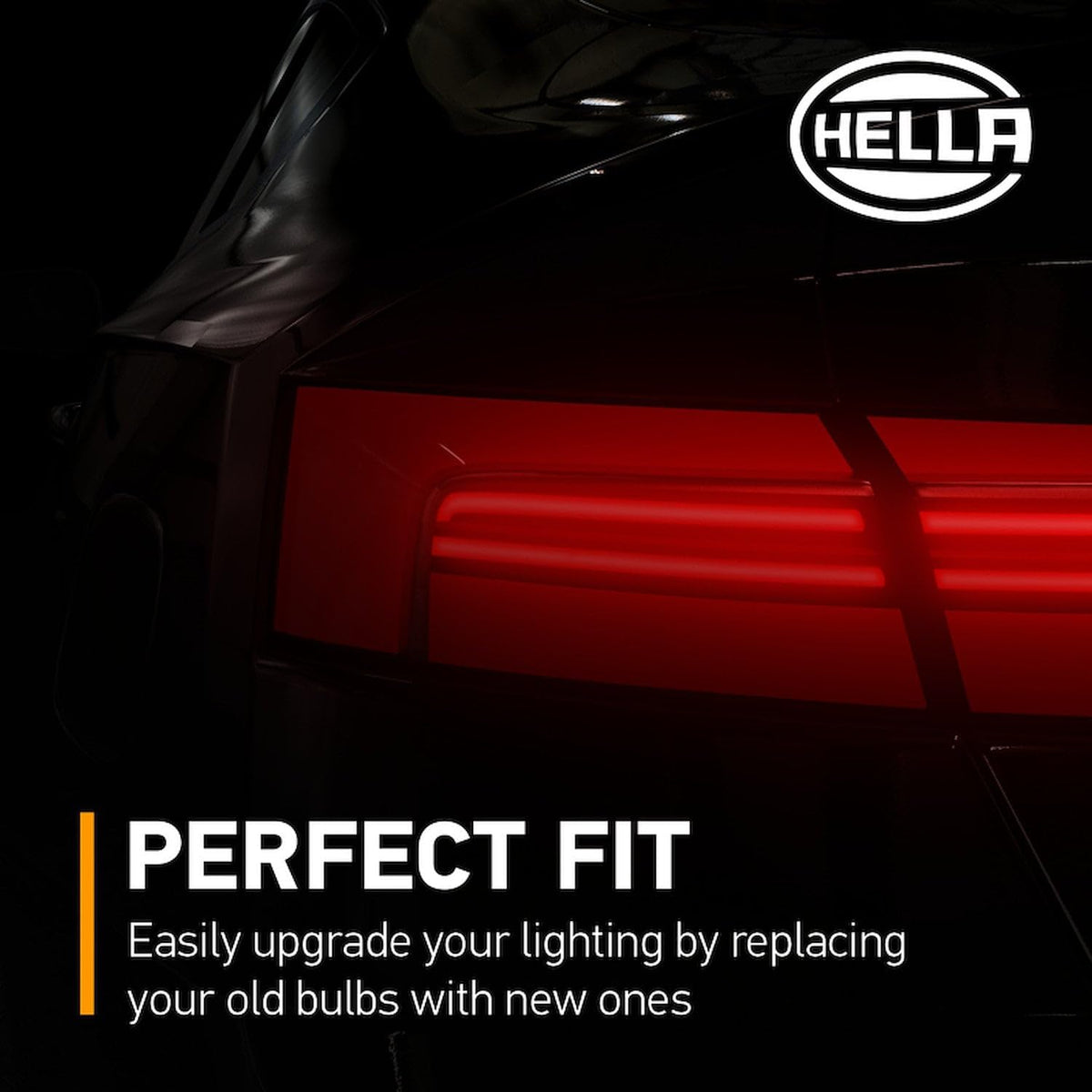 Hella 6451 Standard Miniature Bulb (12V), Multi