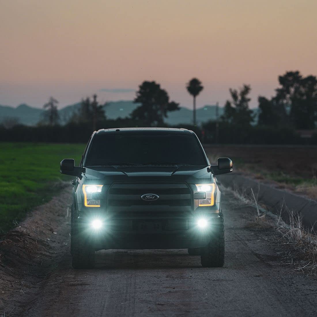 Rigid Industries 50482 RIGID INDUSTRIES D-Series PRO LED Fog Light Pods SAE Yellow Selective/White, Street Legal, Pair