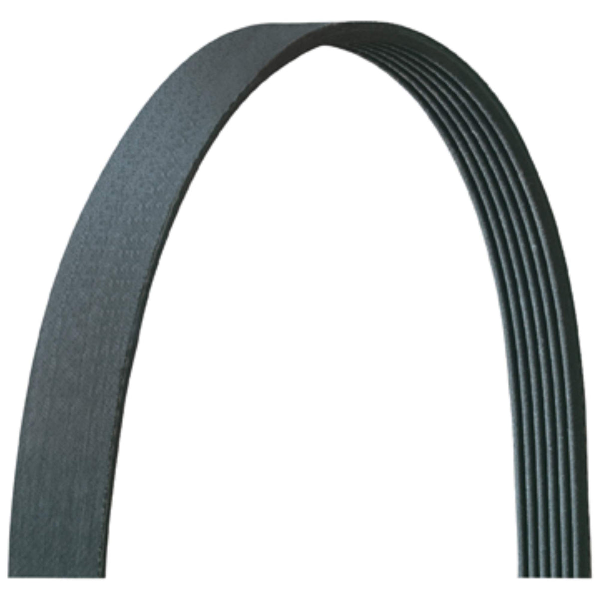 DAYCO 5040315DR Dayco 5040315DR SERPENTINE BELT