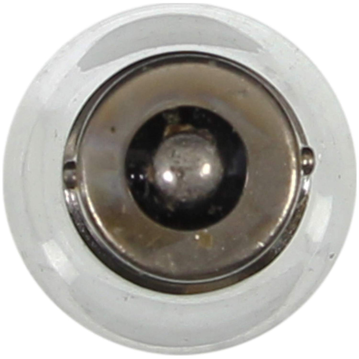 WAGNER BP1141 Wagner Lighting BP1141 Standard Multi-Purpose Light Bulb Card of 2