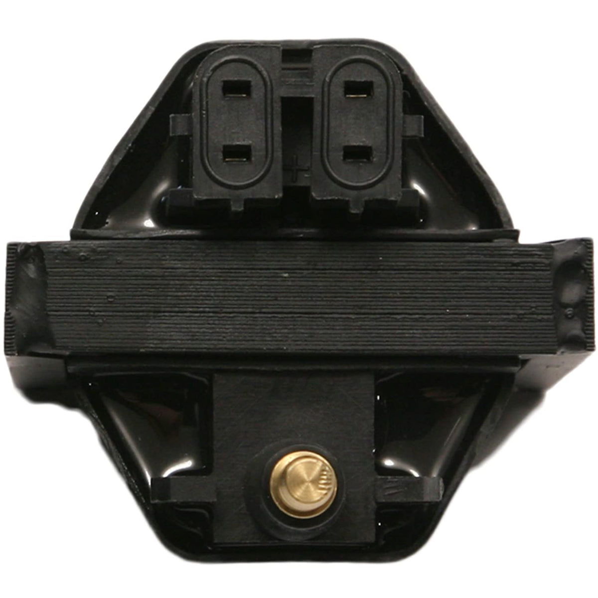 Delphi GN10048 IGNITION COIL