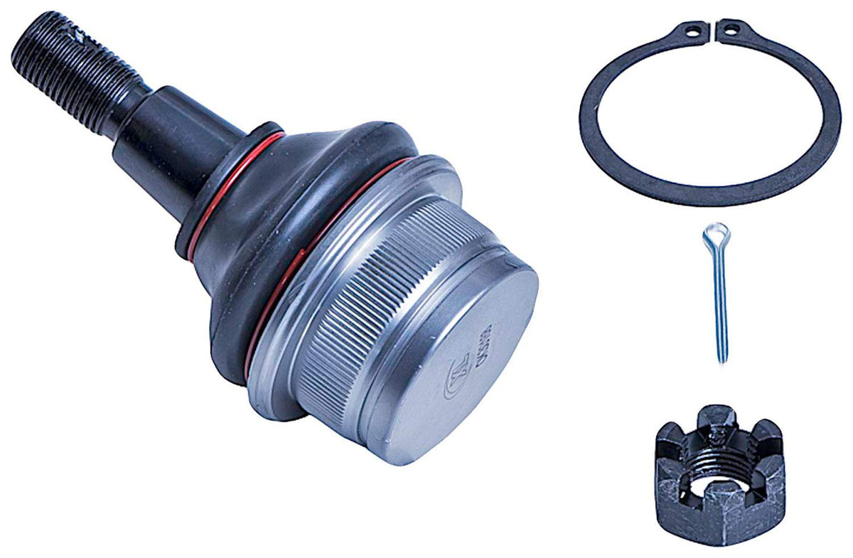 DORMAN BJ82305XL Dorman BJ82305XL Front Lower Suspension Ball Joint Compatible with Select Dodge Models