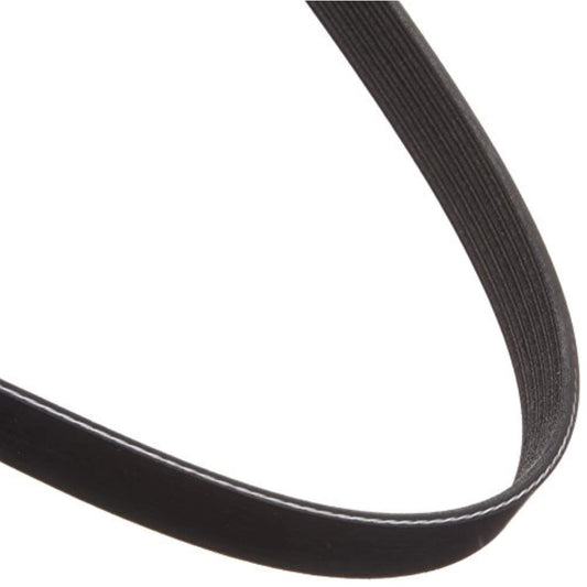 Dayco 5061090 FORD HD/FRGHTLIN/INTLVIS 10/10.8L