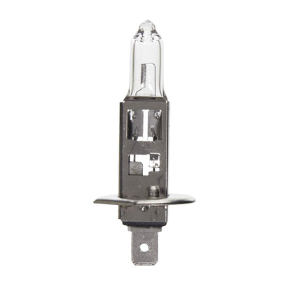 WAGNER BP1255/H1 Wagner Lighting BP1255/H1 Multi-Purpose Light Bulb Card of 1