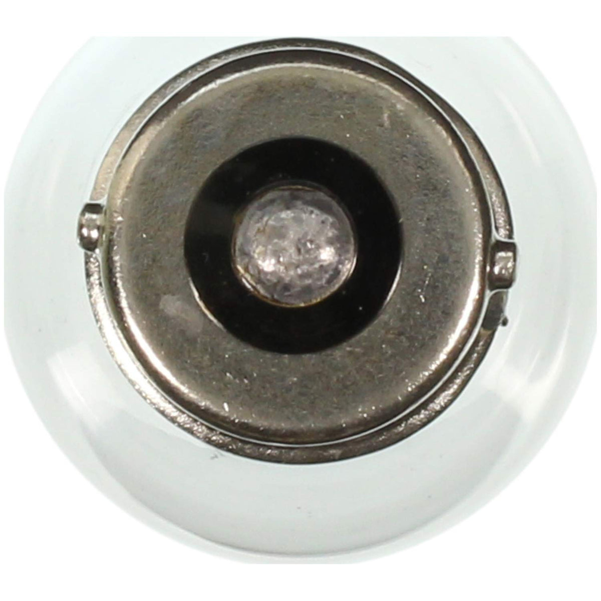 WAGNER 1141 Wagner Lighting 1141 Standard Multi-Purpose Light Bulb Box of 10