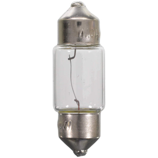 WAGNER BP12100 Wagner Lighting BP12100 Standard Multi-Purpose Light Bulb Card of 2
