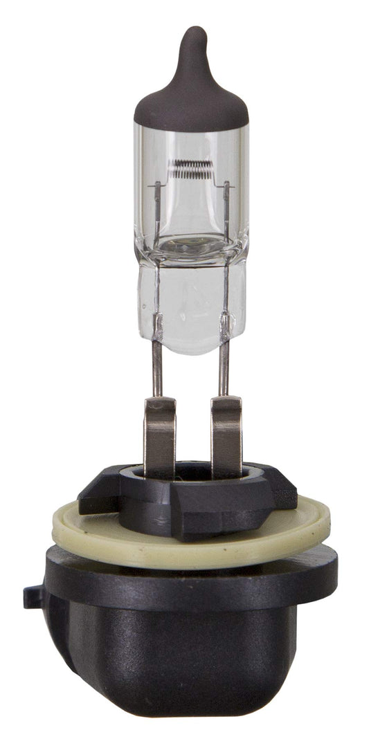 WAGNER BP898 Wagner Lighting BP898 Standard Multi-Purpose Light Bulb Card of 1