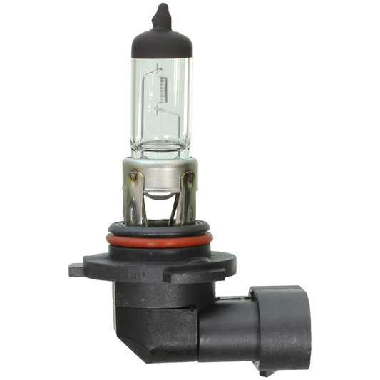 WAGNER BP9145 Wagner Lighting BP9145 Standard Multi-Purpose Light Bulb Card of 1