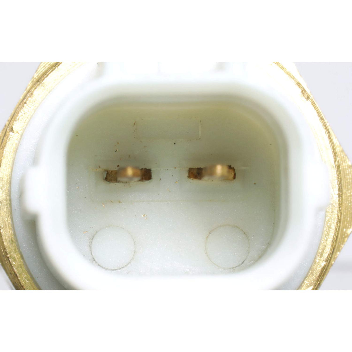Delphi TS10296 ENGINE COOLANT TEMPERATURE SENSOR
