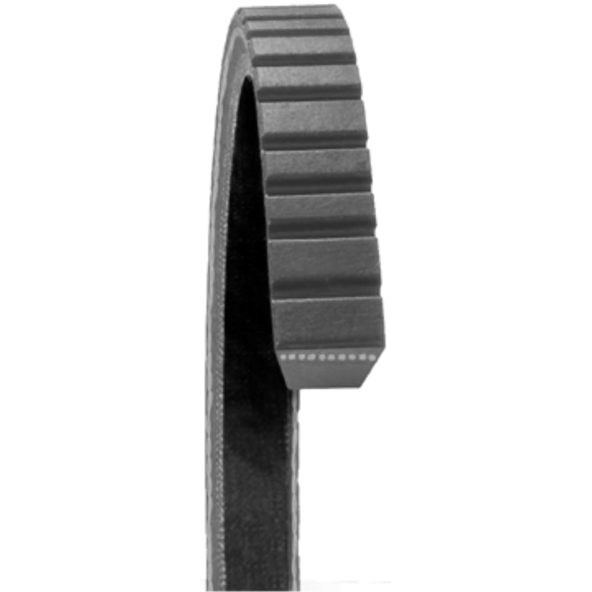 DAYCO 17480 Dayco 17480 00-06 NUMEROUS APPLICATIONS