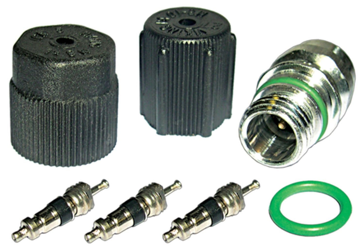 Four Seasons 26775 Cap & Valve A/C System Seal Kit, R12 R134A