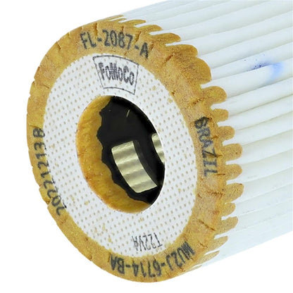 Motorcraft FL2087A Oil Filter (6