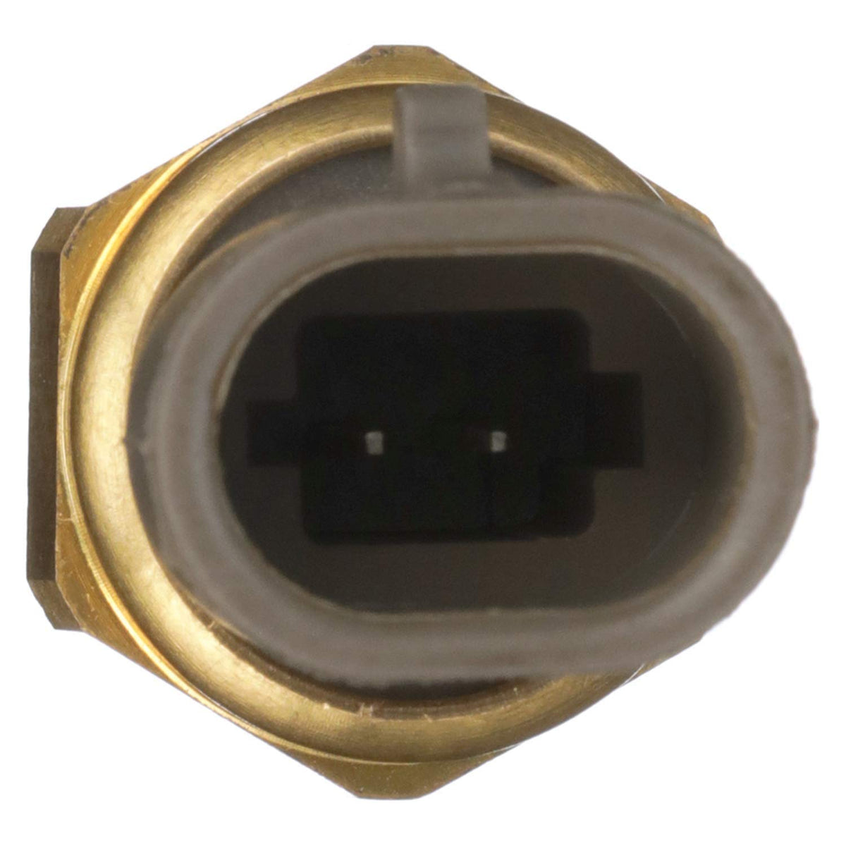 Delphi TS10534 AIR CHARGE TEMPERATURE SENSOR