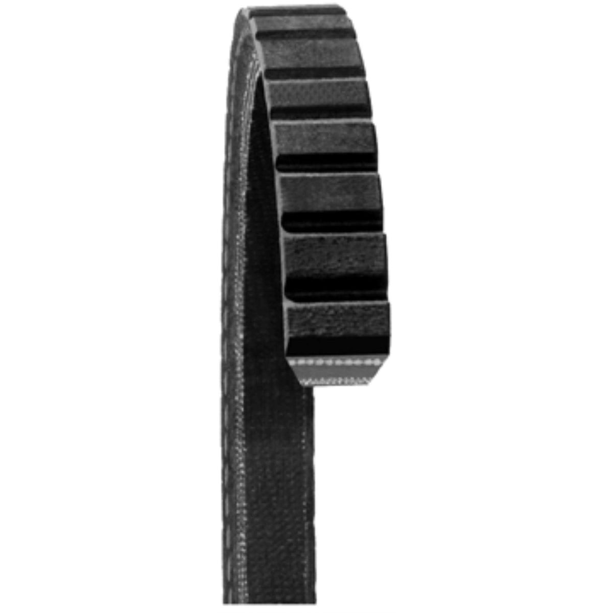 DAYCO 15320 Dayco 15320 FAN BELTS