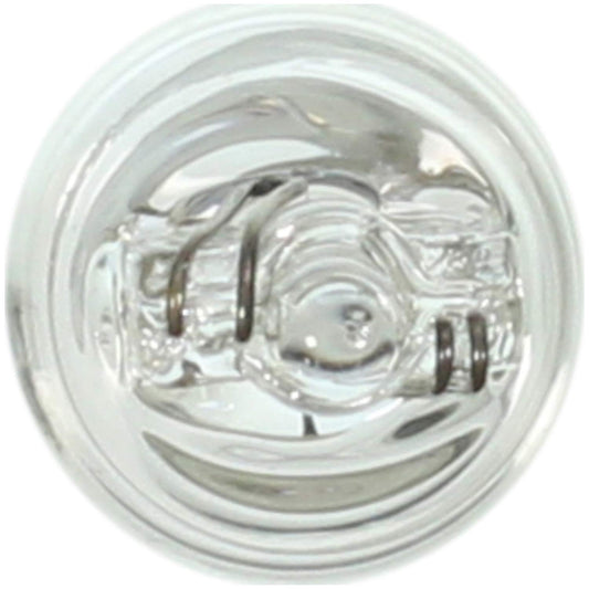 WAGNER 24 Wagner Lighting 24 Standard Multi-Purpose Light Bulb Box of 10