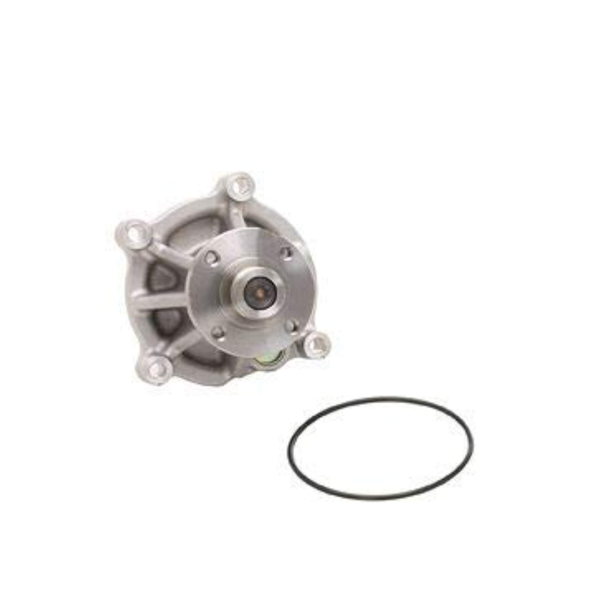 DAYCO DP1010 Dayco DP1010 WATER PUMP KIT