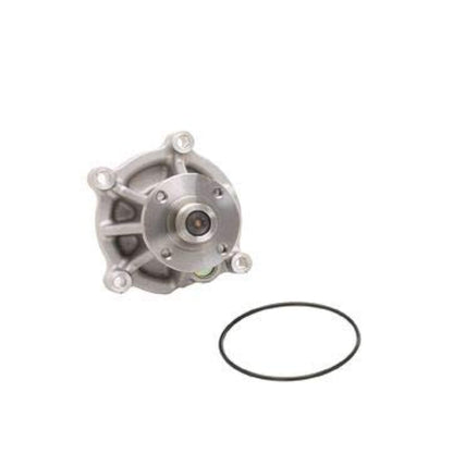 DAYCO DP1010 Dayco DP1010 WATER PUMP KIT