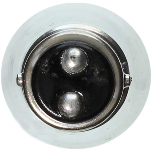 WAGNER BP2057 Wagner Lighting BP2057 Standard Multi-Purpose Light Bulb Card of 2