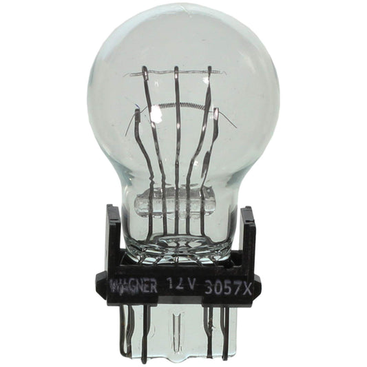 WAGNER BP3057 Wagner Lighting BP3057 Standard Multi-Purpose Light Bulb Card of 2