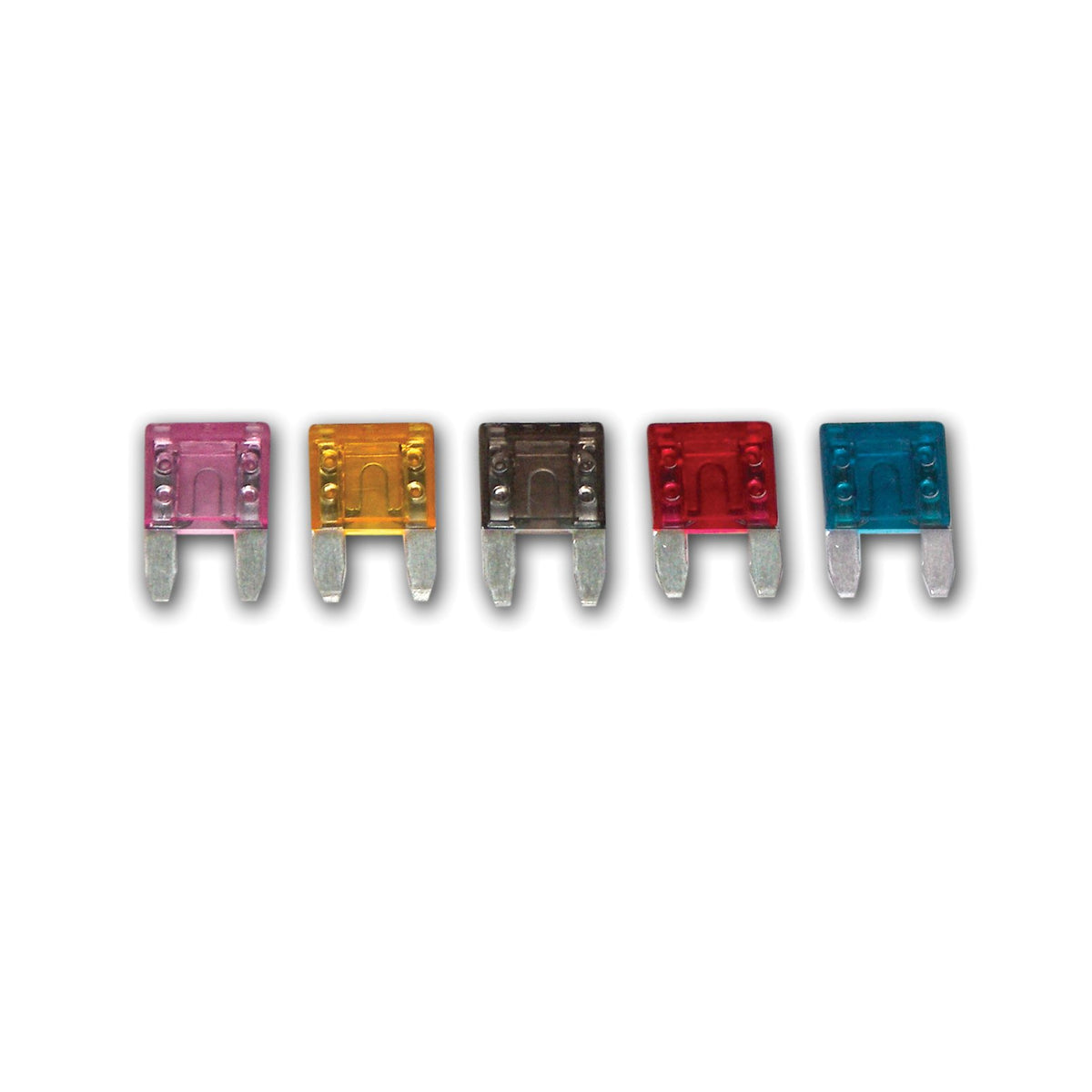 WIRTHCO 24100 Battery Doctor by WirthCo MinBlade LED Mini Fuse 5-Pack Assortment, ATM Replacement, 10 15 20 25 30 Amp, Glow When Blown, Color Coded for 12 Volt Automotive Marine RV (24100)
