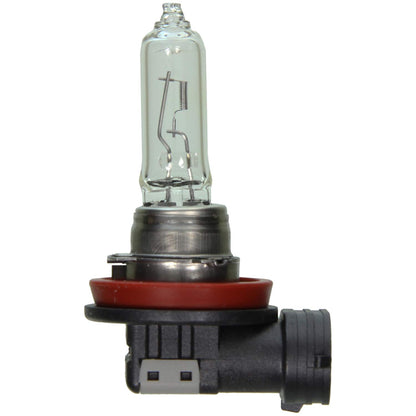 WAGNER BP1265/H9 Wagner Lighting BP1265/H9 Multi-Purpose Light Bulb Card of 1